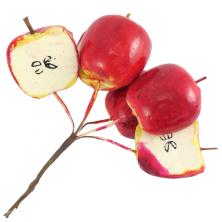 Яблоки половинки на проволоке 13см р-р плодов 3,5*3,5см арт.7714173 красный